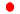 Japon / Japan